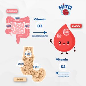 hito-height-growth-supplement-review-2