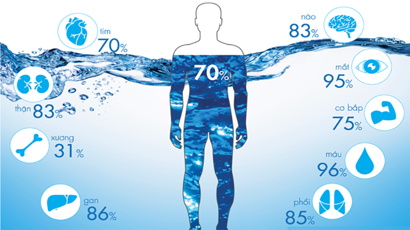does-water-make-you-taller