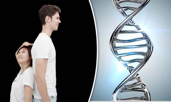 Genetics vs. Nutrition