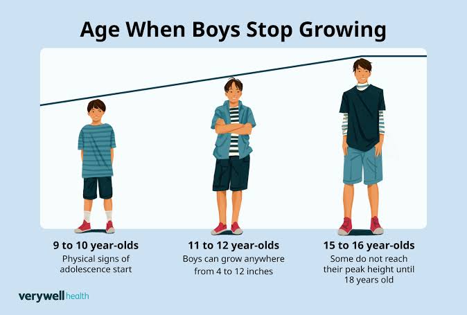 What Age Do Humans Stop Growing