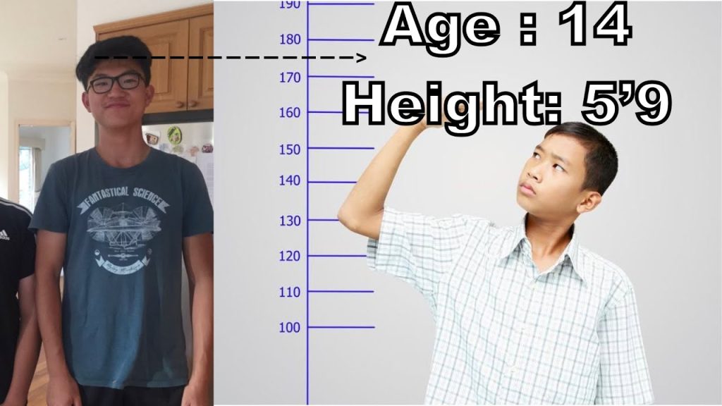What Age Do Humans Stop Growing