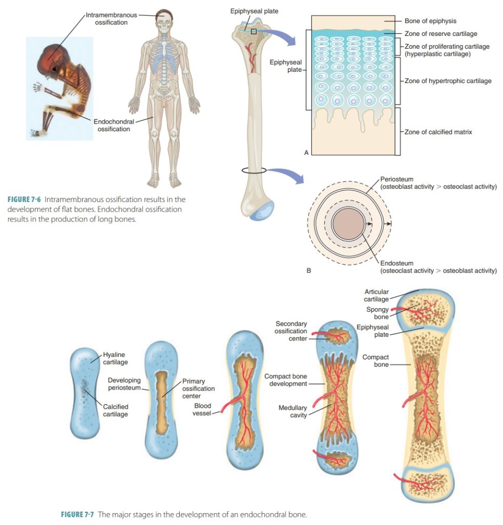 Habits That Can Interfere With Healthy Growth and Bone Development