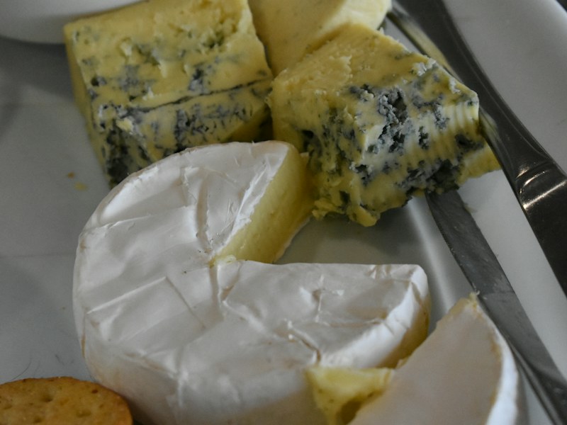 Assortment of cheeses as calcium-rich foods