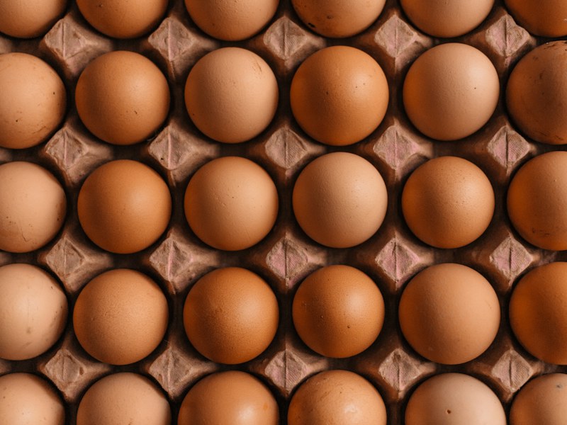 Carton of eggs as a source of phosphorus