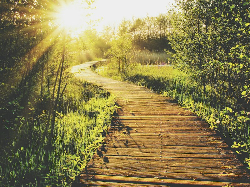 Sunny pathway for an outdoor walk to get vitamin D